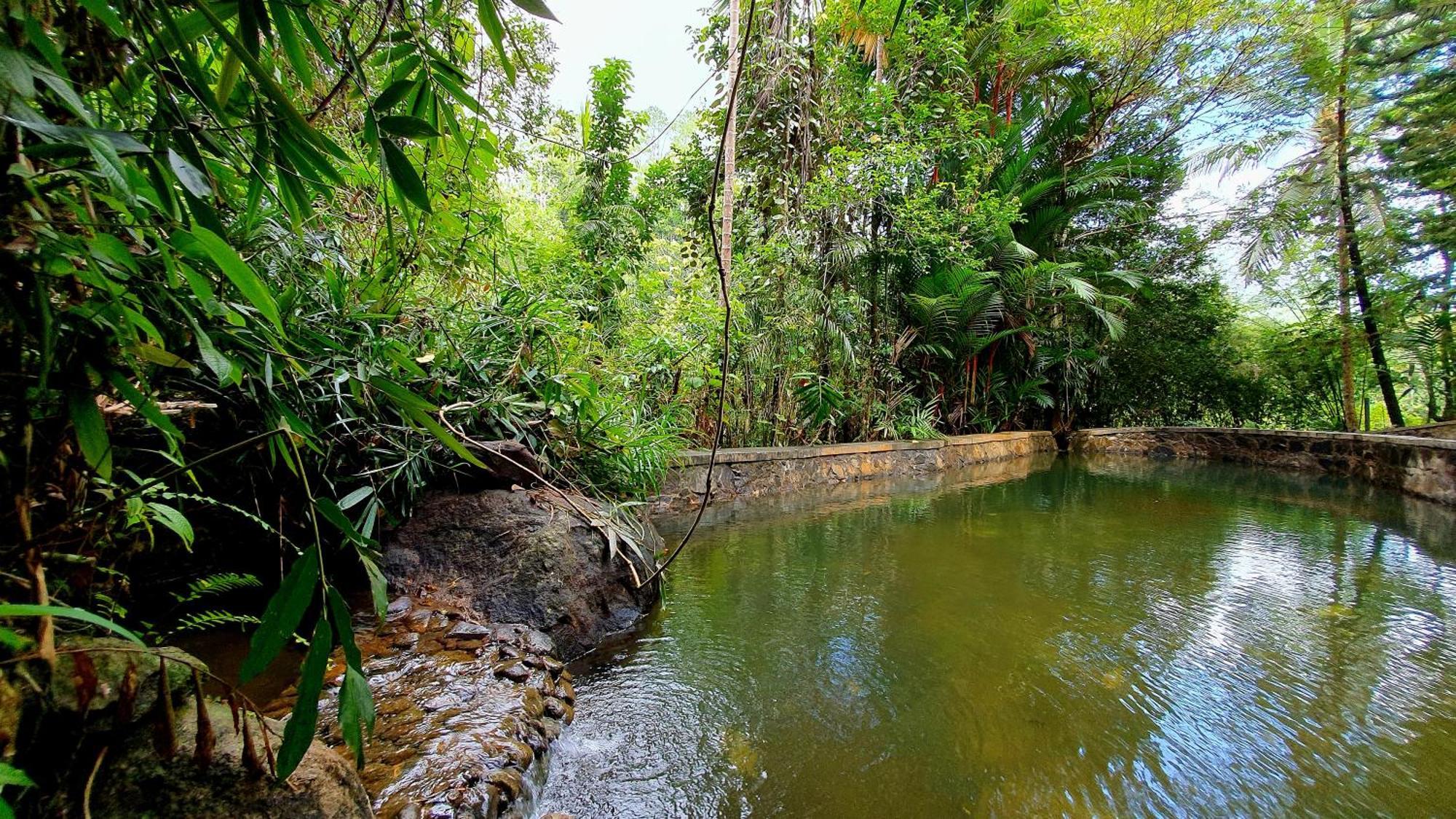 Singharaja Garden AGRO ECO Lodge Pelawatta  Zimmer foto